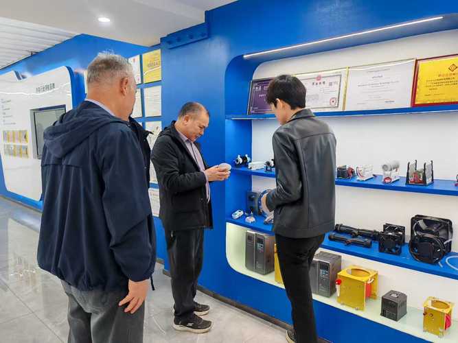 携手共进 绿色发展——老客户莅临飞立电器工厂参观交流与合作展望